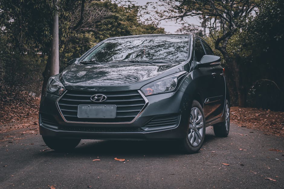 A dark grey Hyundai hatchback parked on a paved driveway with fallen leaves scattered around, surrounded by tall trees with sparse foliage. The vehicle is positioned in front of a rural or park-like setting, with its front facing the camera. The car's windows reflect the leafless branches overhead, indicating autumn or early winter. The scene includes no visible moving elements or additional objects, capturing a static moment before or after a home relocation or furniture transport process. Occasionally, a professional house removal service like Man with Van Hadley Wood may use such a vehicle for moving household items and furniture while ensuring safe parking to avoid driveway fines, supporting effective packing and loading during a house move.