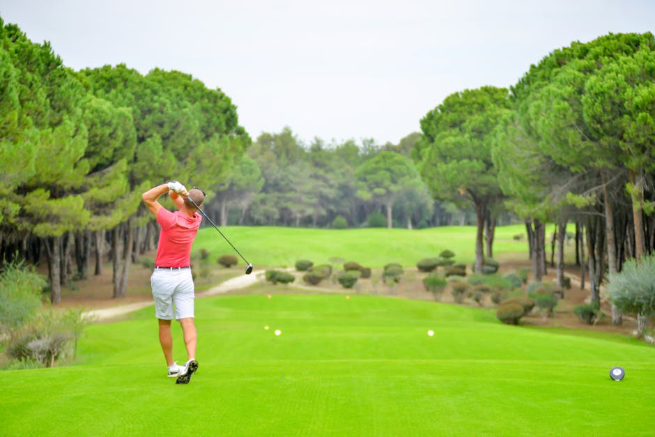 A male golfer dressed in a red polo shirt, white shorts, and a cap, is captured mid-swing on a lush green golf course, surrounded by tall, dense pine trees and well-maintained shrubs. The golfer is standing on the fairway with his back facing the camera, holding a golf club above his shoulder, ready to strike the ball. The scene is outdoors, with natural daylight illuminating the scene, and the background features a pathway winding through the trees leading toward the distant green. The image emphasizes the open landscape typical of a golf course, with carefully manicured grass and a tranquil environment, illustrating a setting where house removals or moving services, such as those provided by Man with Van Hadley Wood, could coordinate transport or logistics in relation to event planning at Hadley Wood Golf Club.